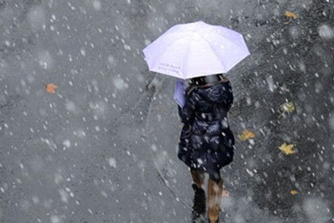 梦见雨夹雪(窗外雨夹雪沈南汐)