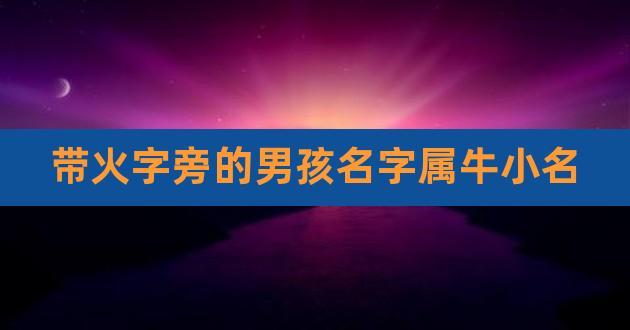 带火字旁的男孩名字属牛小名,火字旁的字有哪些字男孩取名