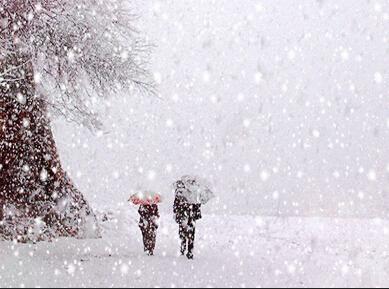 梦见大雪纷飞是什么征兆