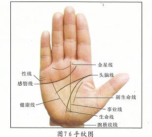 观手纹知建康_生命线