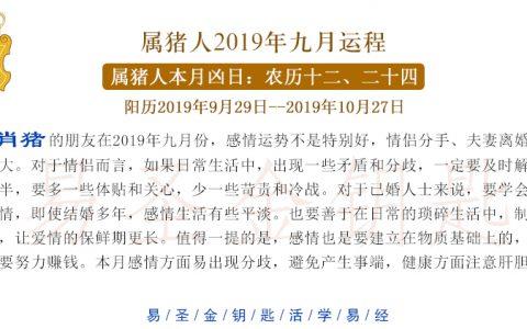 81鸡2023年每月运势,属鸡人2023年本命年运势及运