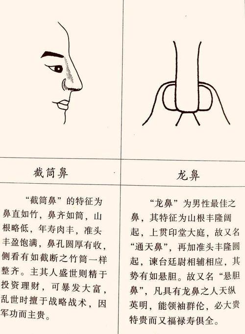 曾国藩看面相: 鼻为人生的缩影, 什么样的鼻子富贵命