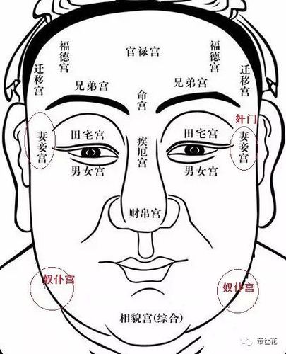 面相风水学奴仆宫