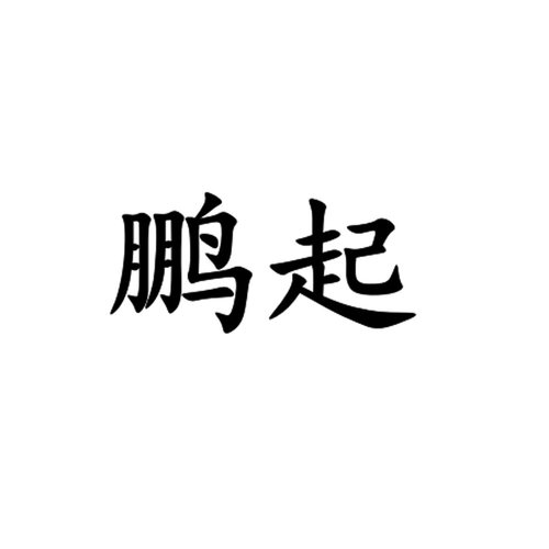 商标文字鹏起商标注册号 60211163,商标申请人保定鹏起商贸有限公司的