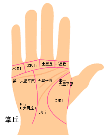 教你轻松看懂手相图片