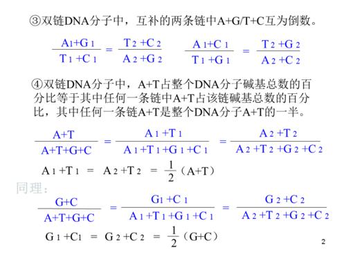 碱基互补配对发生在(碱基互补配对原则口诀)