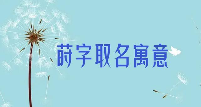 莳字用来取名的寓意是指:红红火火,吉利发财,生机,繁盛,热情,莳的本意