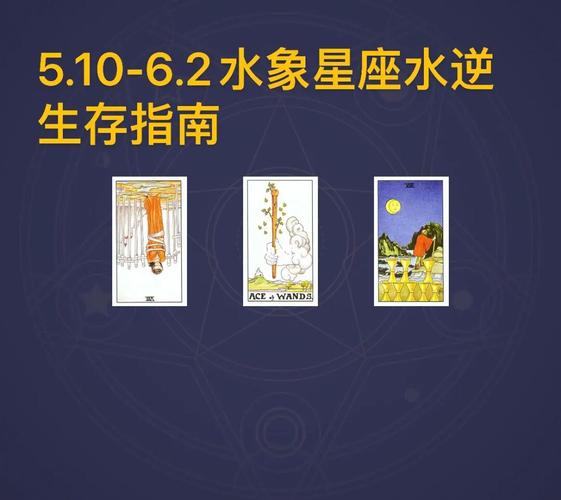 衢州首家塔罗牌实体占卜网红店5.10-6.