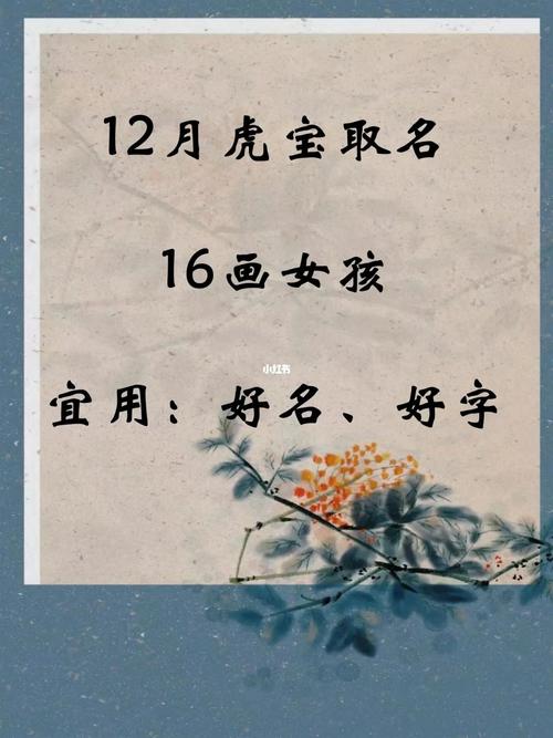 宝宝起名12月虎宝取名16画女孩宜用好名好字