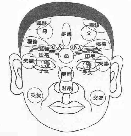 面相十二宫