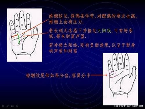 教你轻松看懂手相书籍