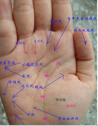 【转载】手相面相观人专集——标准手诊图