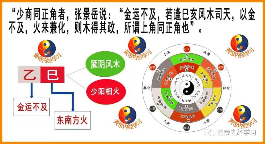 五运六气之运气同化,运气异化和平气年详解