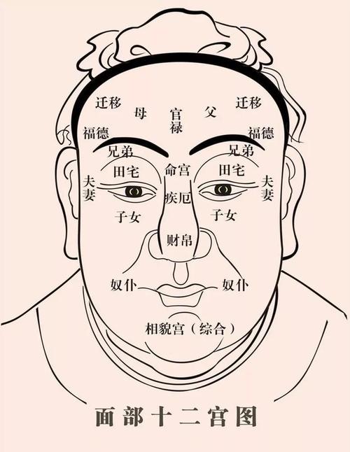 相术学:看看心术不正的面相特征!