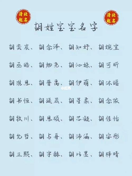 胡姓宝宝名字来喽