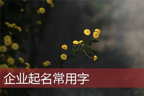 企业起名常用字