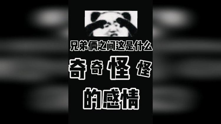 《兄弟俩奇奇怪怪的感情》家人们 我自己家的猪要拱我自己家的白菜了!