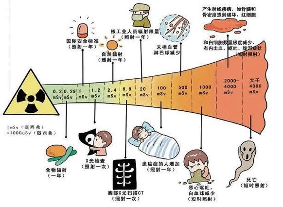 常经北极飞往美洲欧洲,韩国空乘患癌去世被认定宇宙辐射工伤