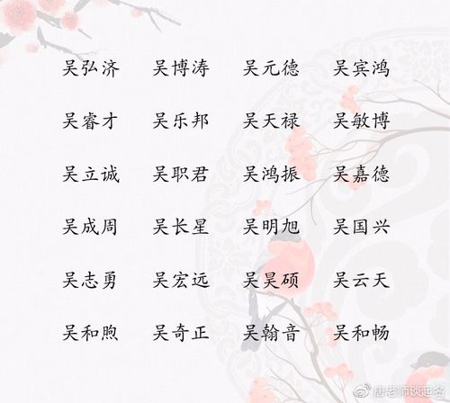 吴姓男孩取名吴姓男宝宝独特洋气好听的名字