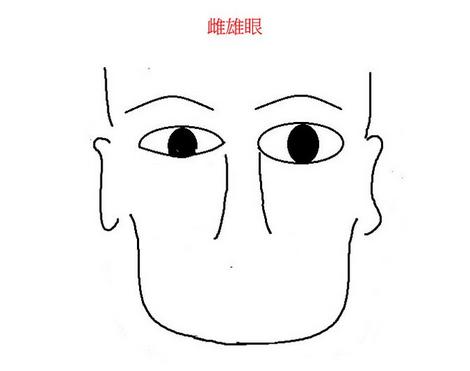 雌雄眼面相