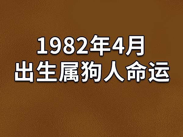 1994年属狗命运(1994年属狗什么命五行属性)