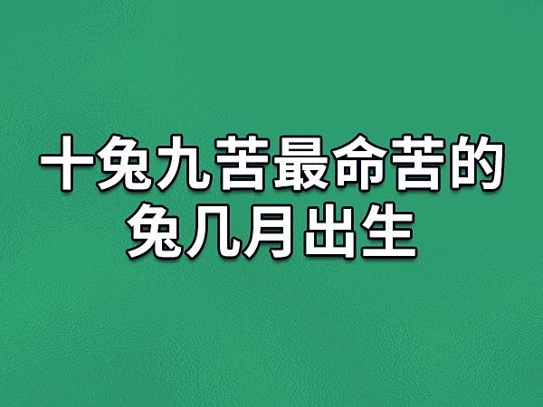 你觉得属兔的人几月出生命会比较苦呢?你身边有属兔的人吗?