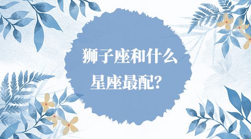 狮子和双子配对指数(狮子和双子配对合适吗)