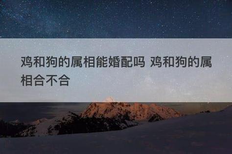 属鸡男和属狗女的速配度:生肖鸡 生肖狗=中吉属鸡的男人和属狗的女人