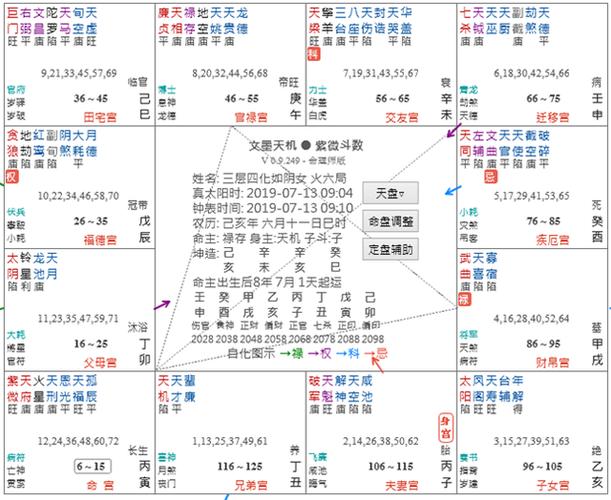 紫微斗数 (紫微斗数排盘)-第1张图片-珑钦运势网