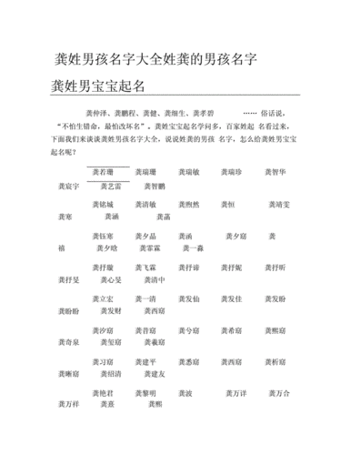 龚姓男孩名字大全姓龚的男孩名字龚姓男宝宝起名docx5页