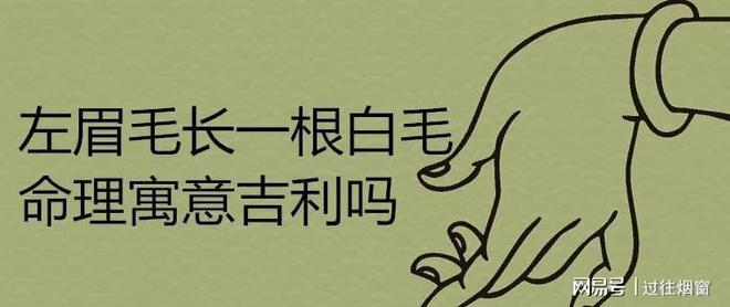 左眉毛长一根白毛命理寓意吉利吗