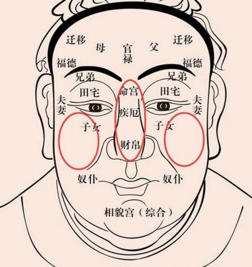 面相怎么看财运(通过手相面相看婚姻财运事业健康的作用)