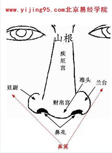 面相鼻翼看财运