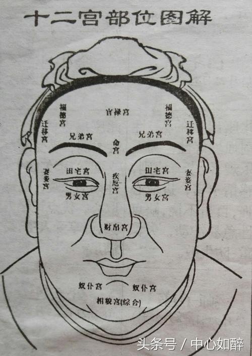 面相12宫的绝招 面相12宫