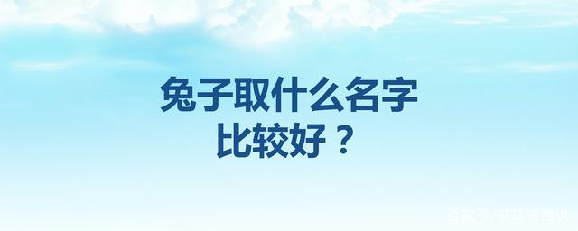 兔子取什么名字比较好?