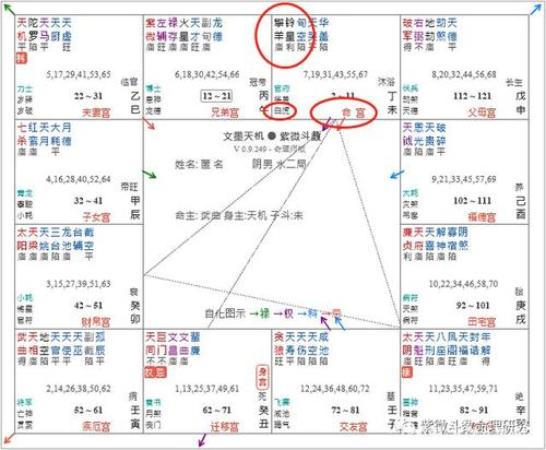 紫微天府在命宫气质 紫微天府坐命