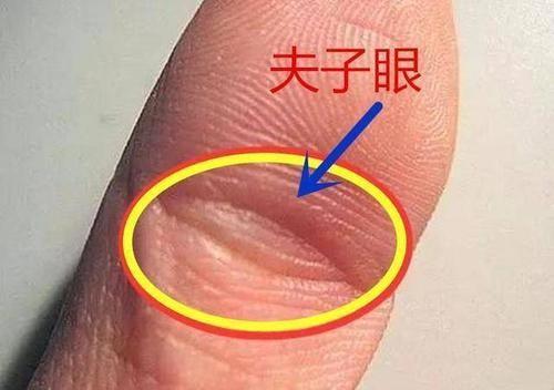 大拇指上的横纹代表什么手相星座,金星丘,月丘的隆起肌肉很瘦薄筋力不