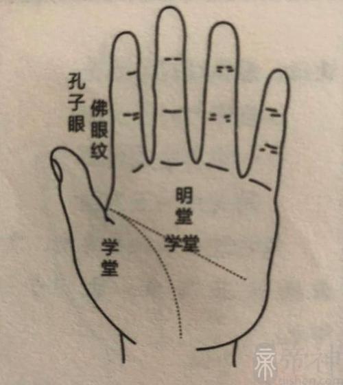 学掌纹在哪里 孩子学习好的手相有哪些